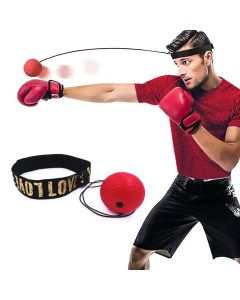 Bilink Speedball Punching Ball